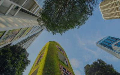 UK ESG Shake-Up: Your 5-Step Blueprint for 2026 Readiness