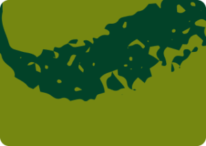 Module 1.1: Assess: The Assessment Challenge