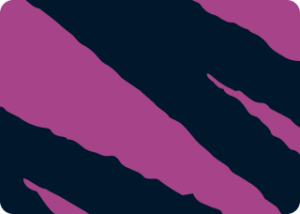 Module 2.1 Plan: Understanding the FuturePlus Framework