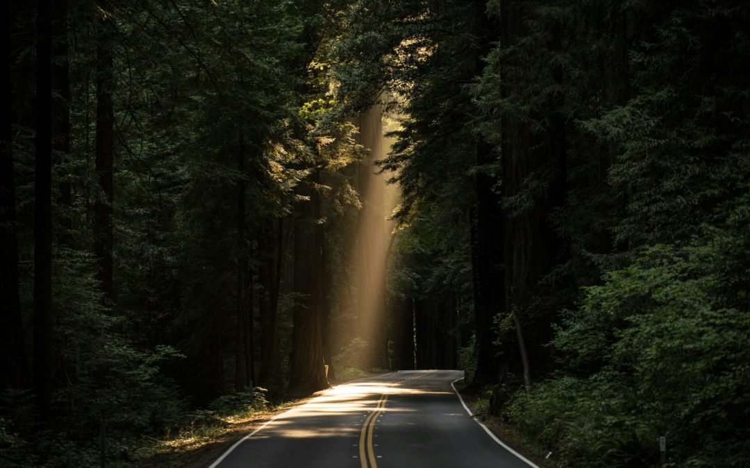 From Ambitions to Reality: Building Your ESG Roadmap