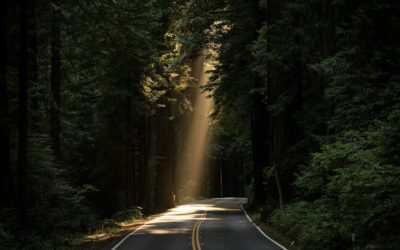 From Ambitions to Reality: Building Your ESG Roadmap