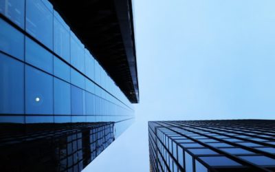 Why Sustainability Is No Longer Optional for Scaling Businesses