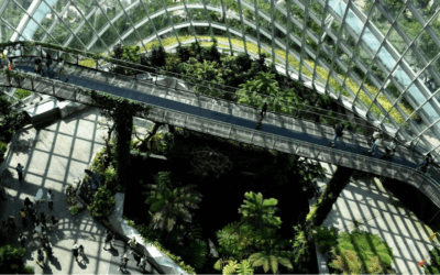 6 Steps to Structuring ESG Reporting That Builds Credibility