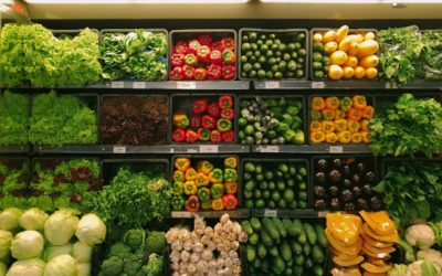 On the Table: Scaling AI-led food waste and surplus visibility, reduction and redistribution