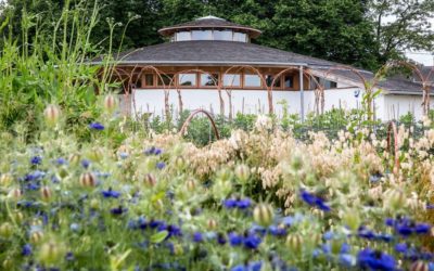 PODCAST: Roots, Resilience and Real Impact